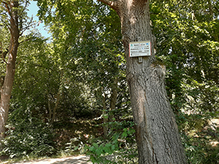 Streckenschild Diekholzen